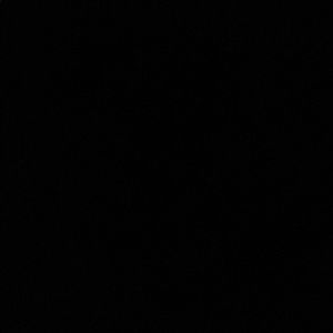 Meet your Posher, Quintin